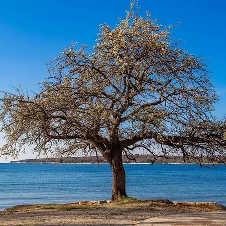Apartamento Rona Cervar Poreč